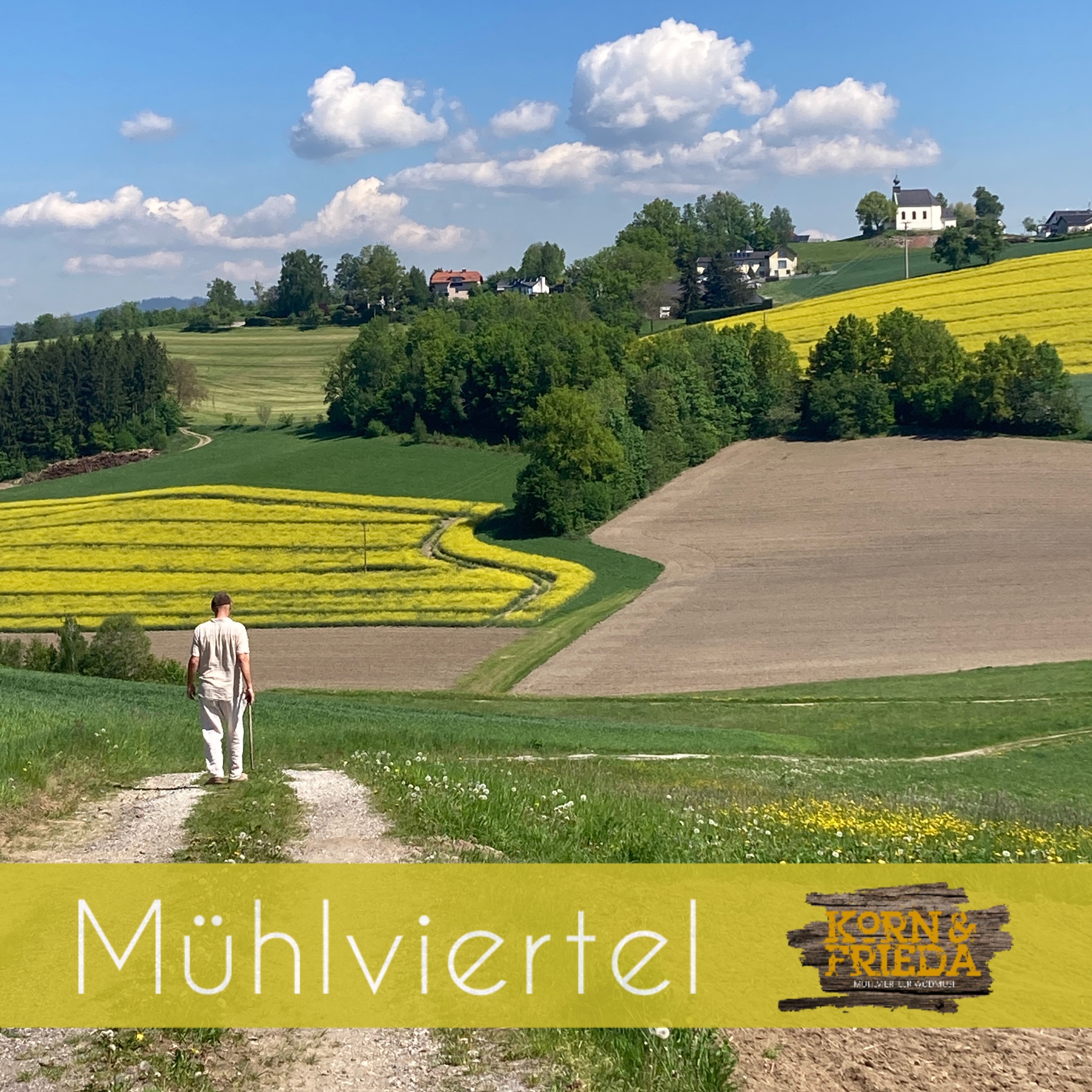 Neue Single kommt bald!